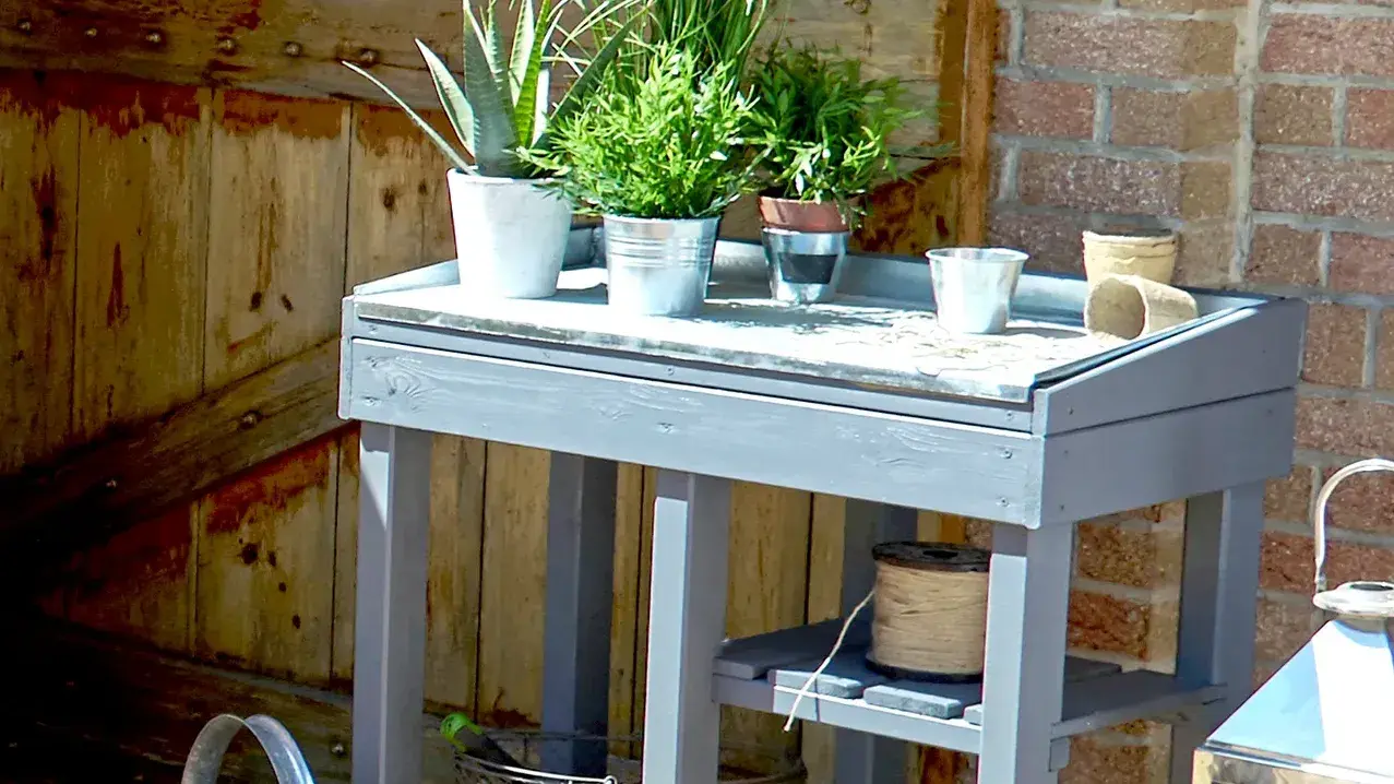 Een oppottafel met meerdere plantenpotten  | table de culture avec plusieurs pots de plantes.