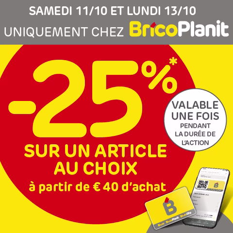 Remise BricoPlanit seulement