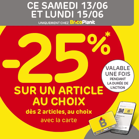 Remise BricoPlanit seulement