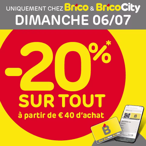 Promo Brico