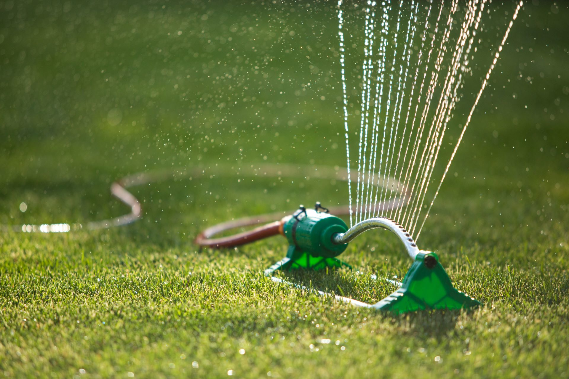 Je tuin bewateren: 5 slimme tips die het je makkelijk maken