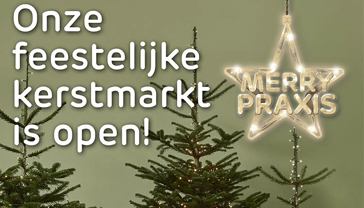 kerstmarkt praxis