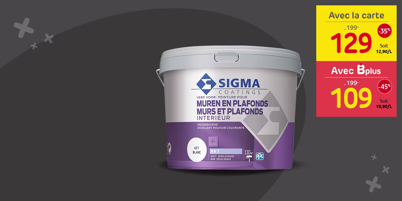 Promo Brico peinture murs et plafonds Sigma