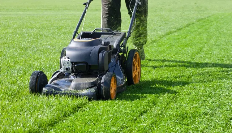 Een grasmaaier op het gras | Une tondeuse à gazon sur l'herbe 