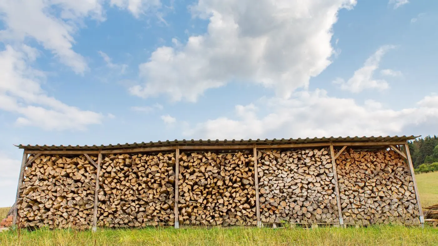 Abri pour le bois de chauffage