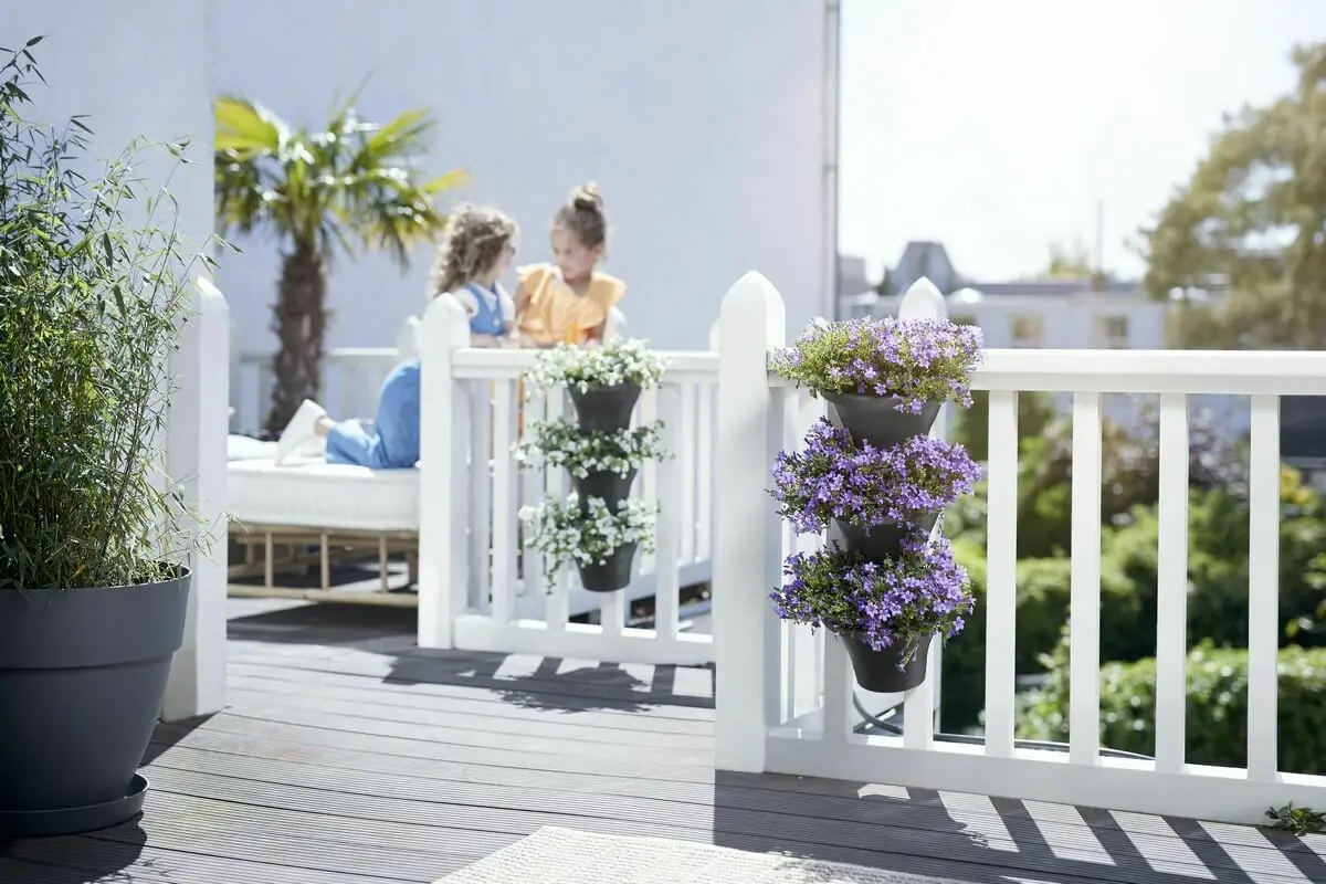 Bloempotten aan een wit hek op de veranda | Pots de fleurs sur une clôture blanche dans la véranda