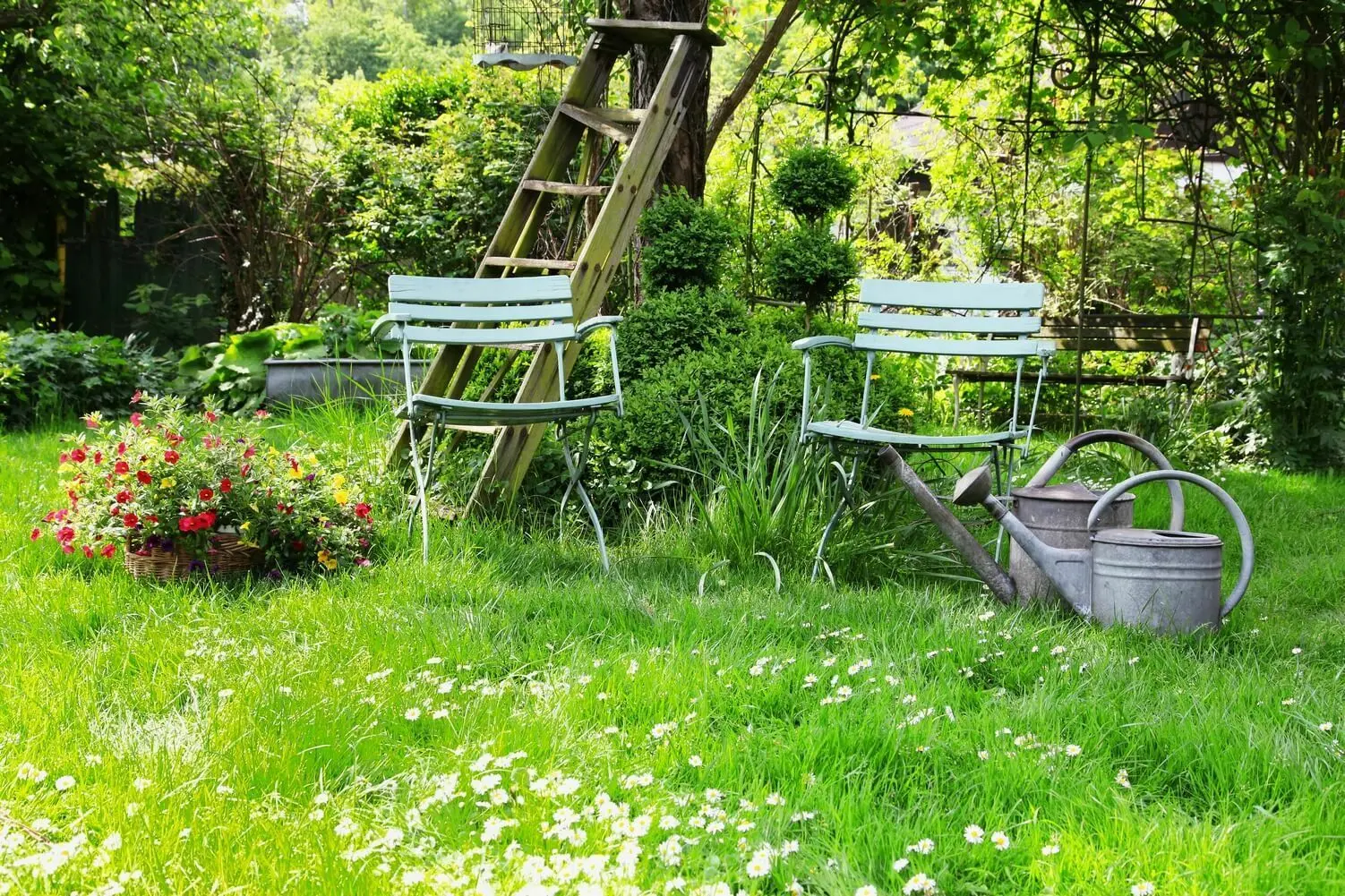 Twee tuinstoeltjes in hoog gras met wat wildgroei er omheen | Deux chaises de jardin dans l'herbe haute avec des animaux sauvages autour d'elles