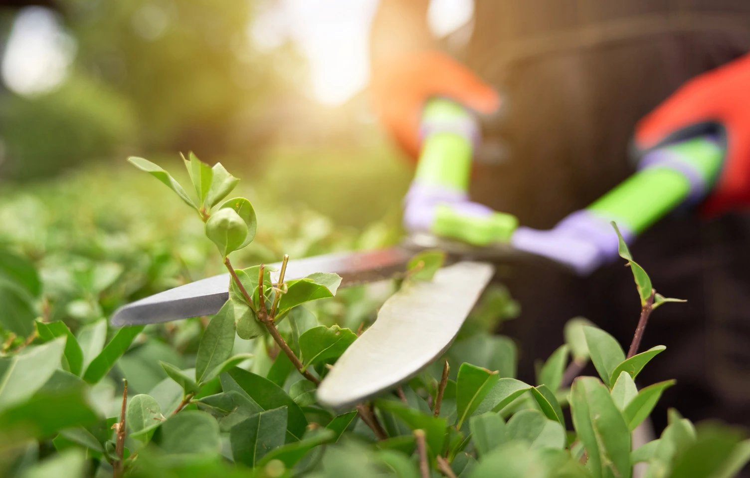 Laat het maken: Tuin