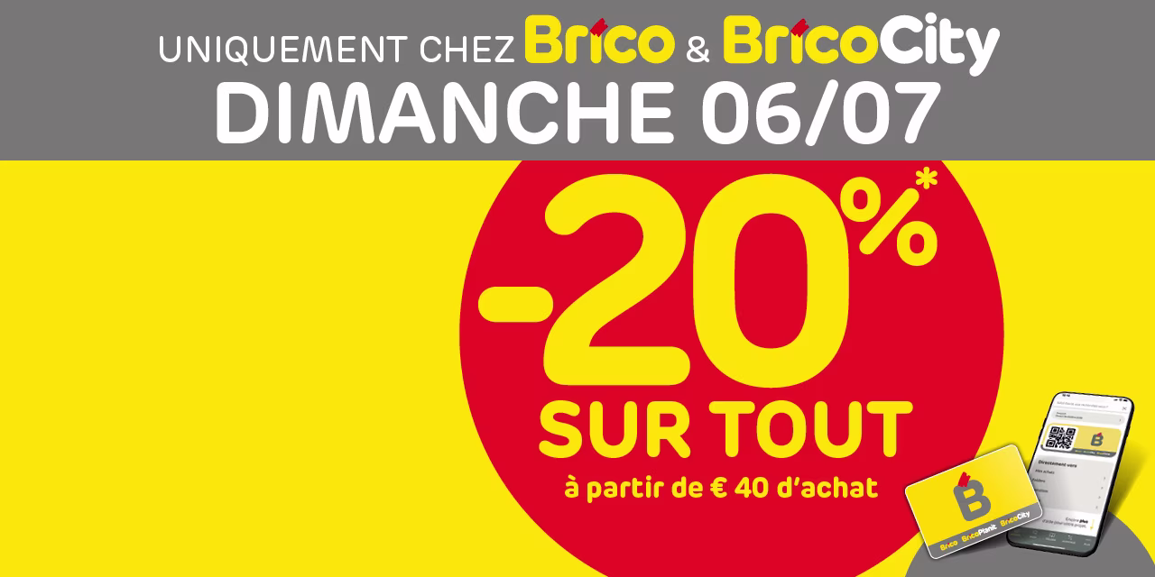 Promo Brico