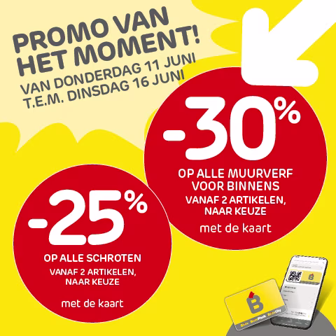 Brico promos