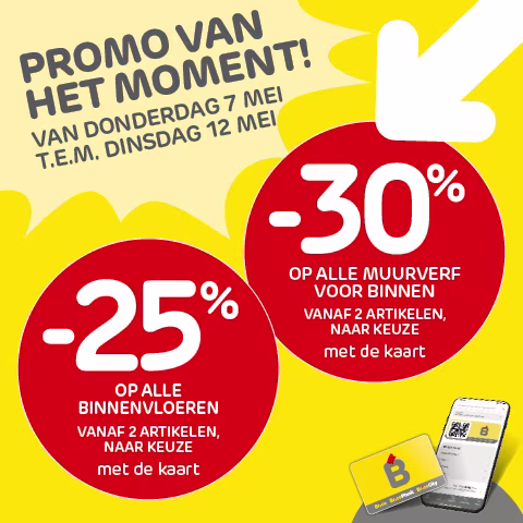 Brico promos