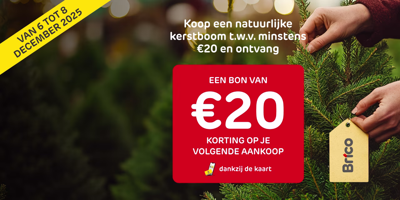 Kerst actie