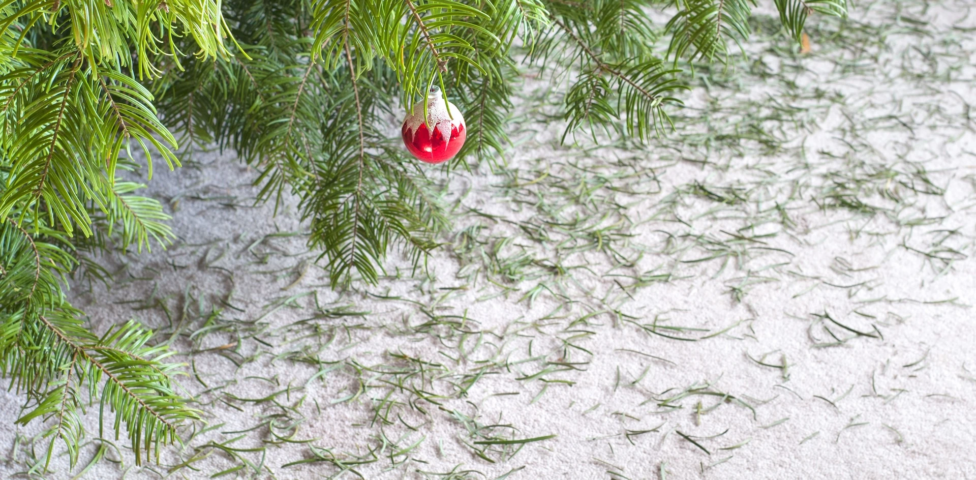 dennennaalden kerstboom opruimen