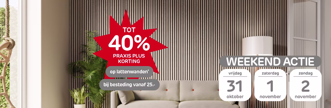 Hoge korting op lattenwanden met Praxis Plus Hoge korting op lattenwanden met Praxis Plus