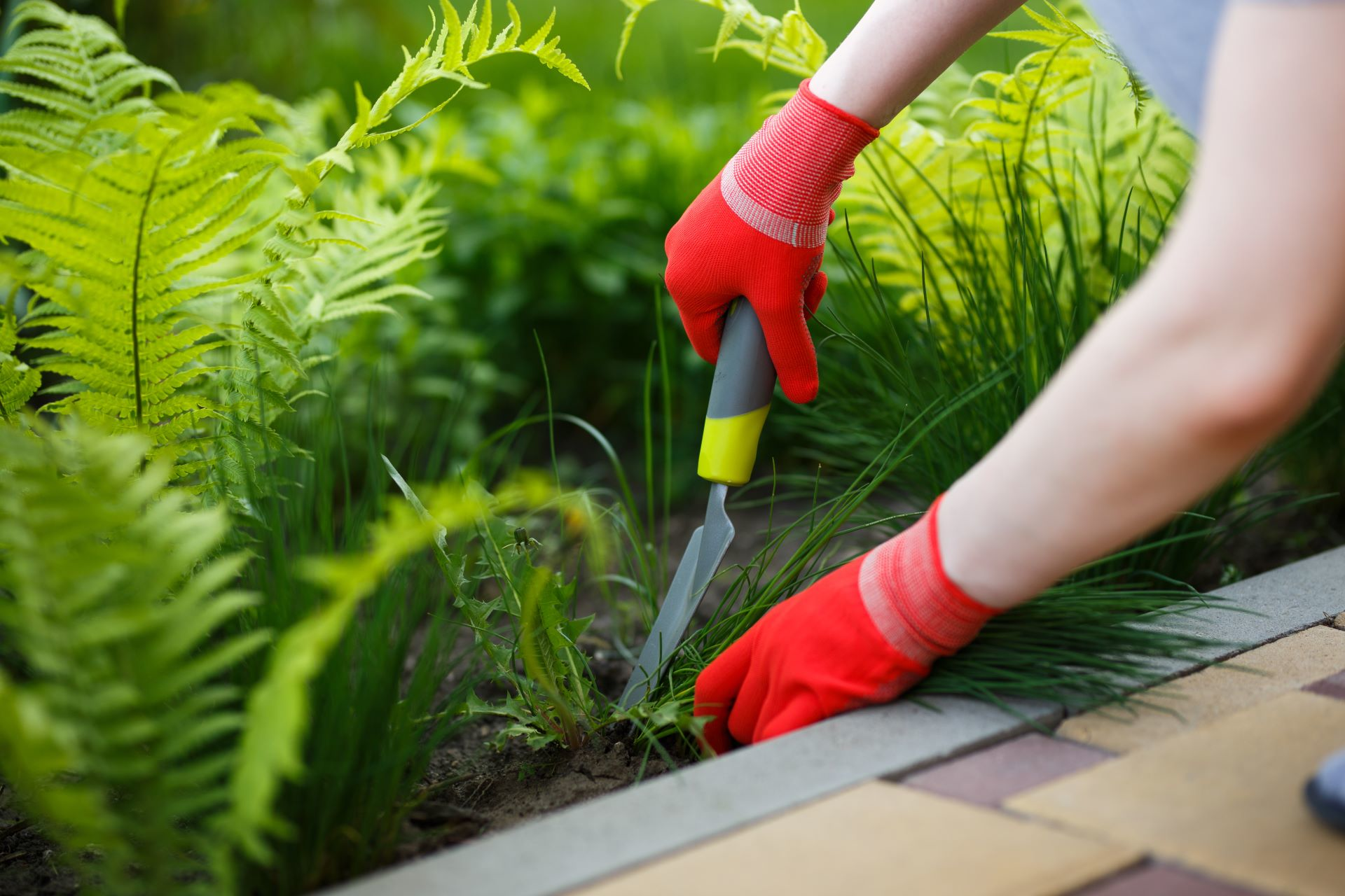 Onkruid verwijderen? 6 snelle en handige tips!