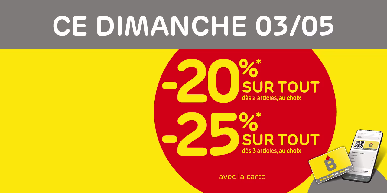 Promo Brico