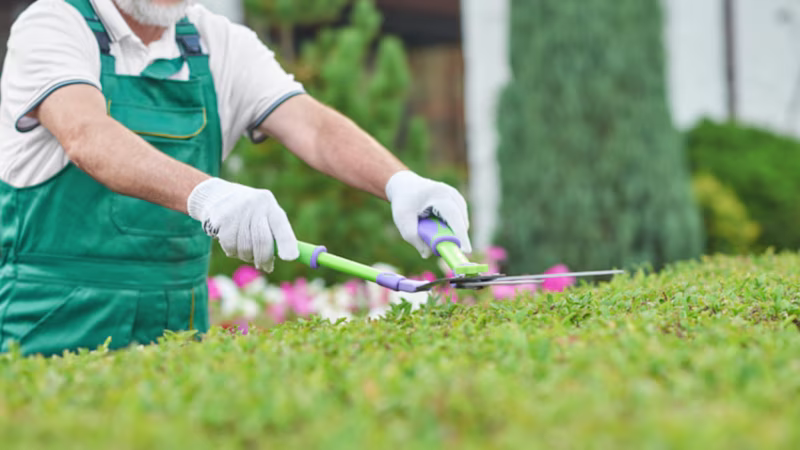 Une tondeuse, un coupe-bordure, un taille-haie