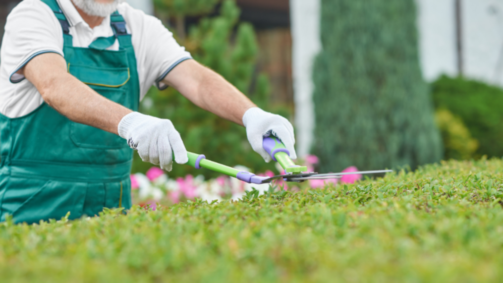 Je tuin zomerklaar met heggenschaar, grasmaaier en -trimmer