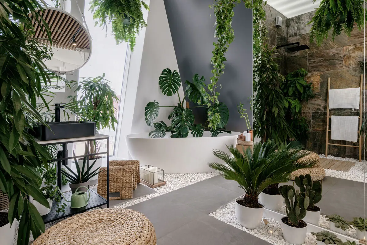 Planten in jouw badkamer