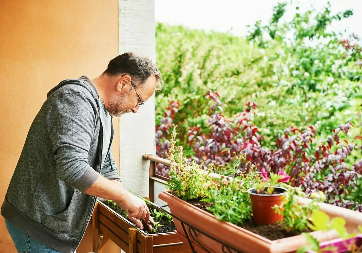 Een man zit met zijn handen in een plantenbak | Un homme est assis, les mains dans une jardinière