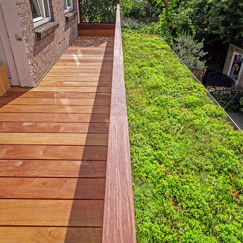 Alles over het aanleggen van je sedumdak