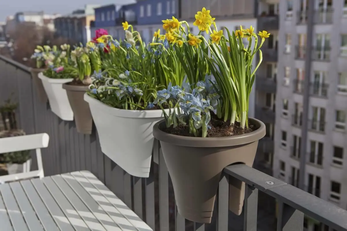 Vier plantenbakken staan op de railing van het balkon | Quatre jardinières sont posées sur la balustrade du balcon