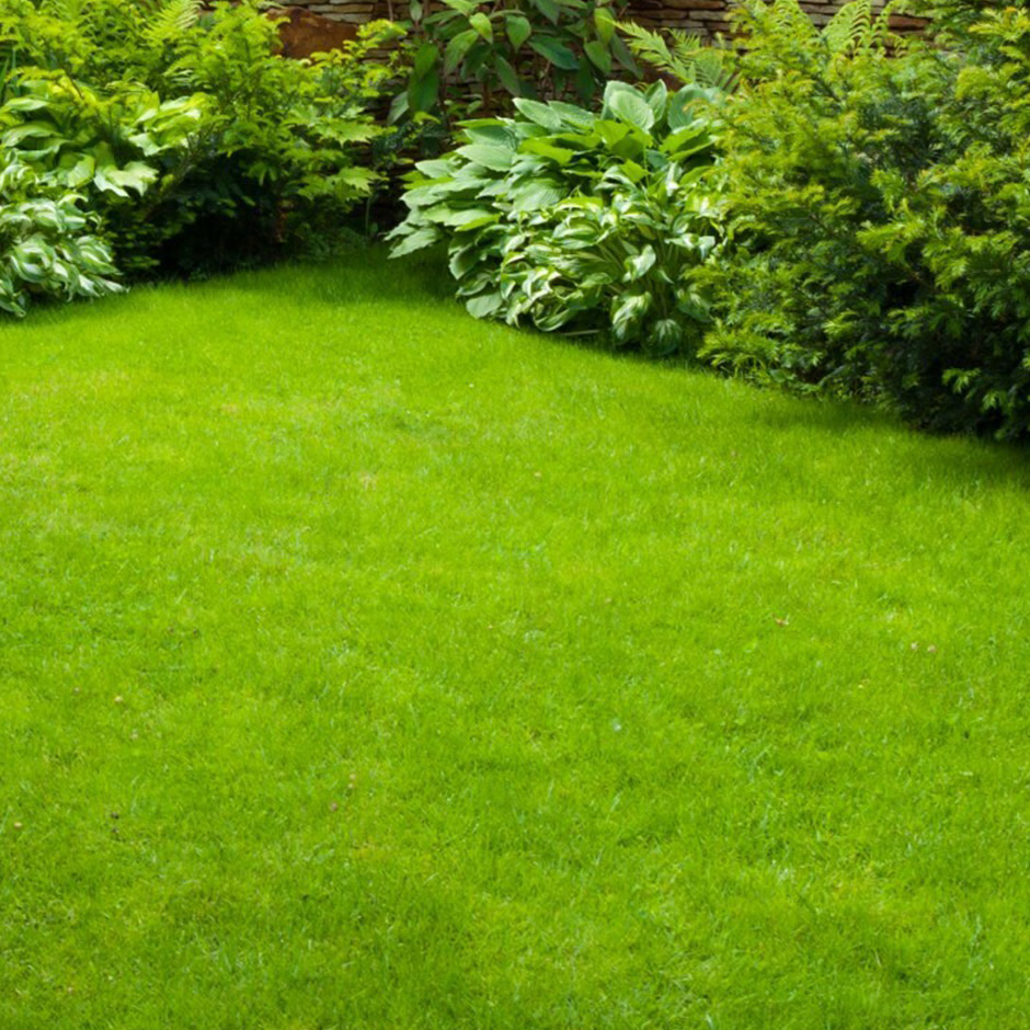 groen grasveld tuin 
