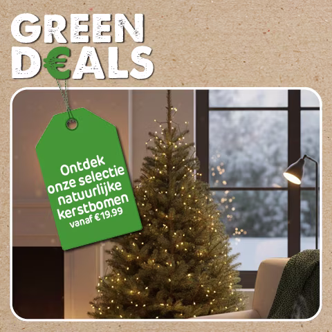 natuurlijke kerstboom in de winkel