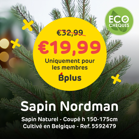 Action sapin Noel Nordmann avec Bplus