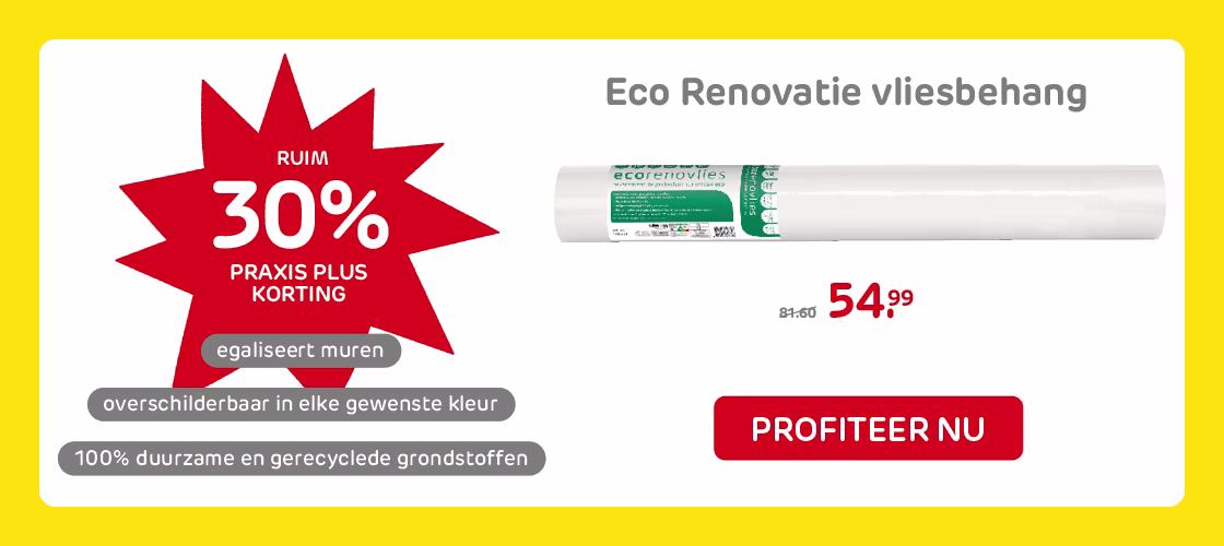 Korting op renovatiebehang | Praxis
