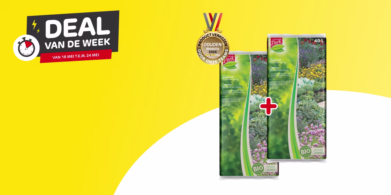Deal van de week