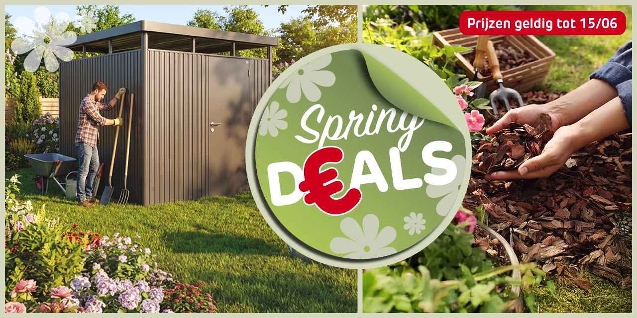 Onze Spring Deals