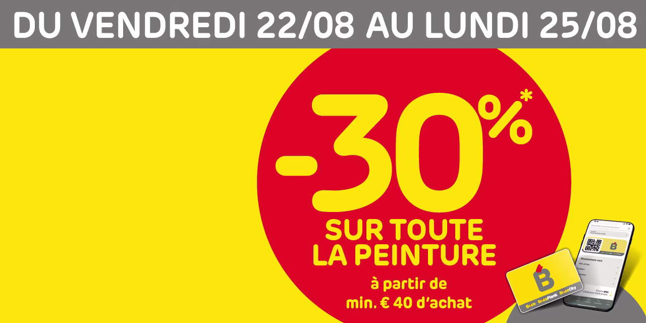 promo peinture
