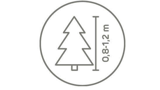 lengte kerstboom