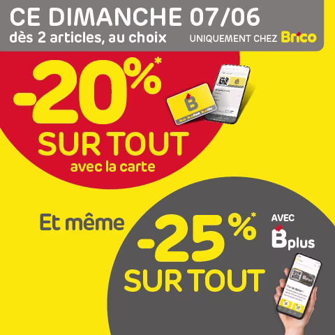 Promo Brico