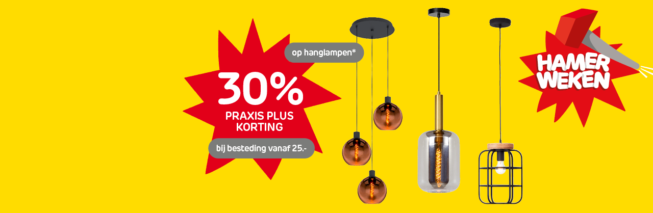 Hanglampen met korting bij Praxis met hamerweken