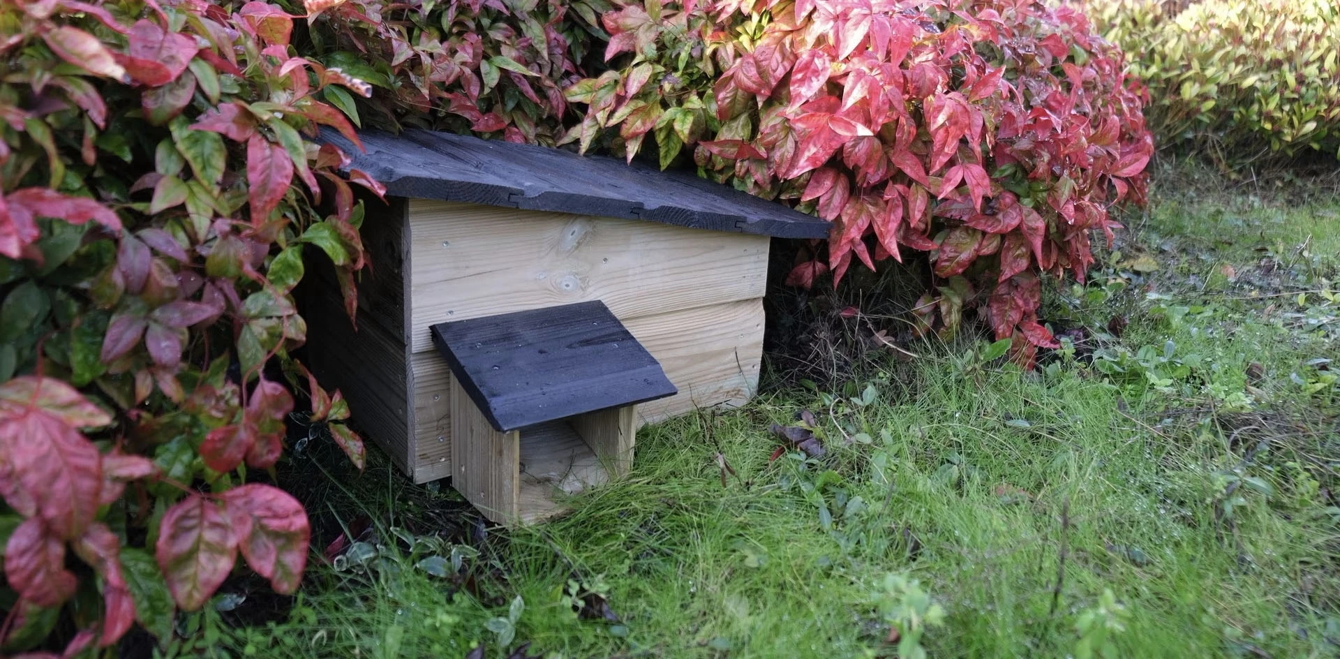 DIY egelhuisje voor de winter