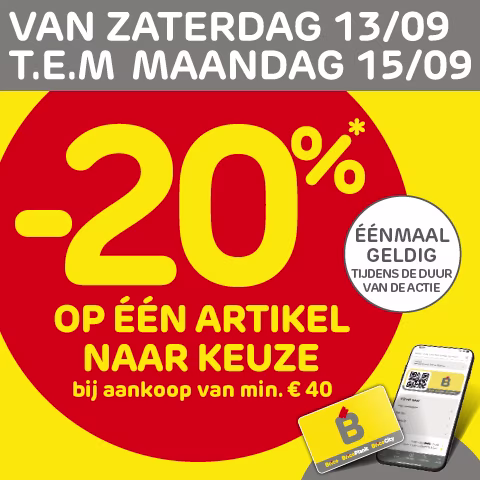 Brico promos