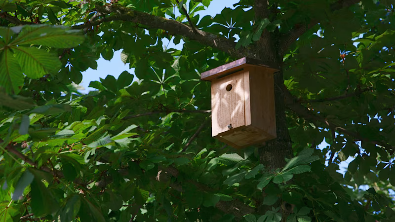 Construire un nichoir Construire un nichoir