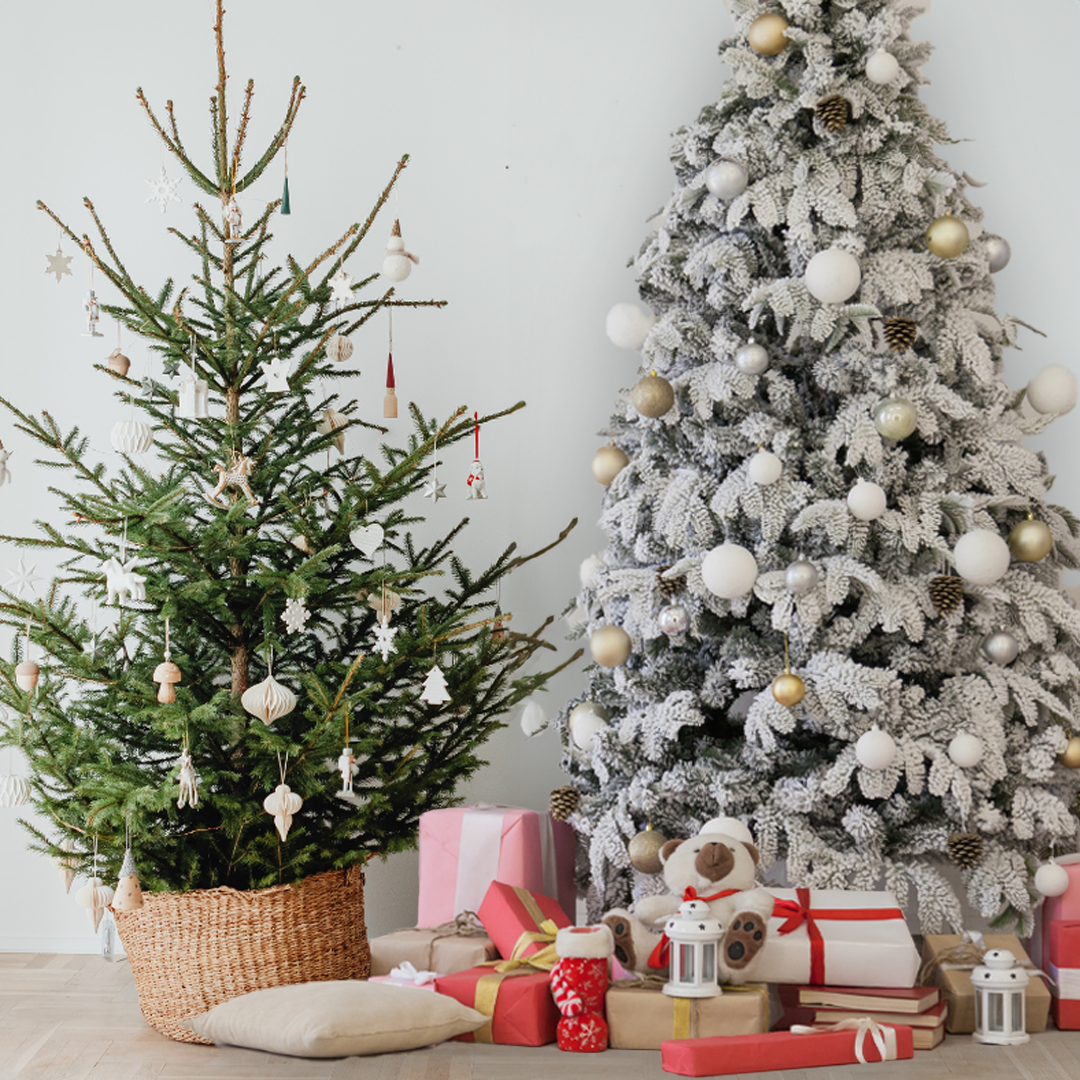 Een echte en een kunstkerstboom naast elkaar | Un vrai sapin de Noël et un sapin artificiel côte à côte