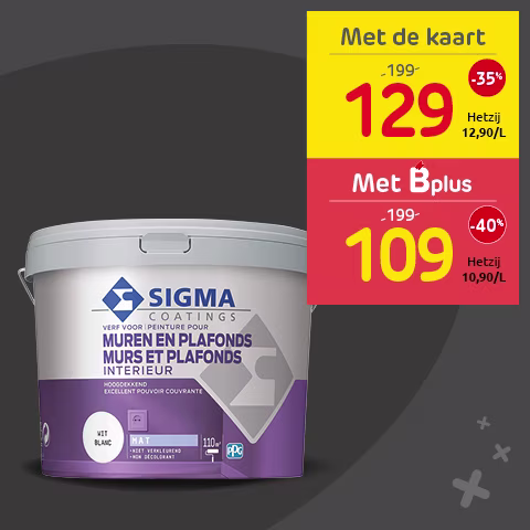 Brico promo Sigma muur- en plafondverf