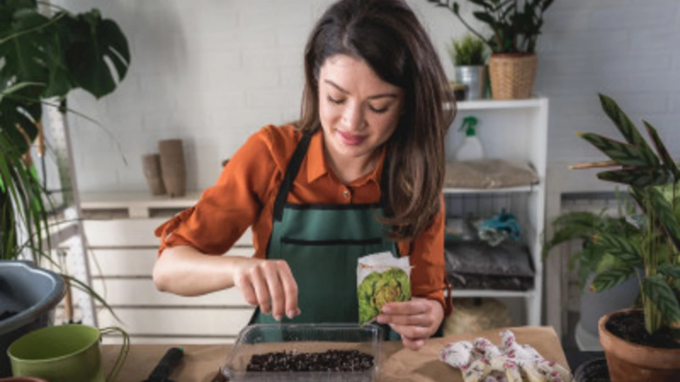 Een vrouw plant zaadjes in een bakje met aardegrond | Une femme plante des graines dans un récipient de terre. 