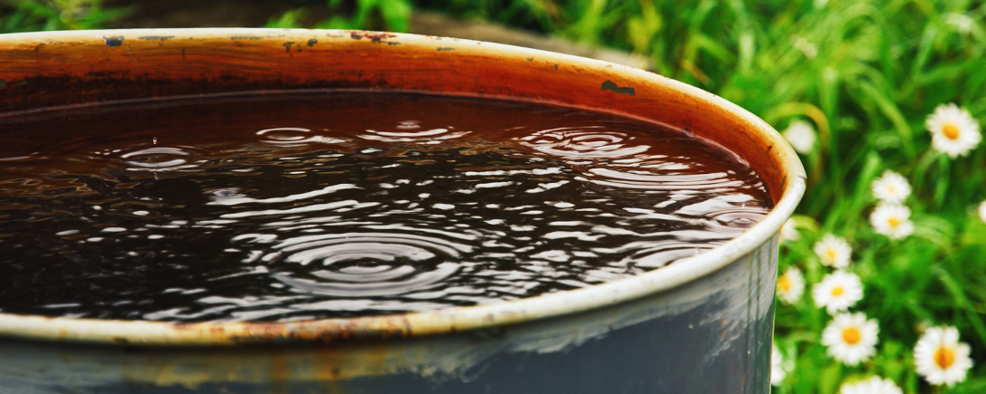 Récupérer l’eau de pluie