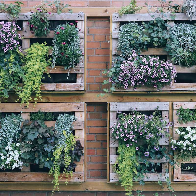 Alles over verticaal tuinieren Alles over verticaal tuinieren