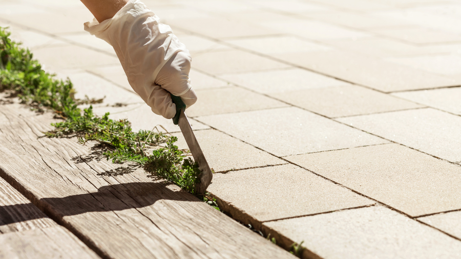 Iemand met handschoenen aan verwijdert onkruid op zijn terras | Une personne portant des gants enlève les mauvaises herbes sur sa terrasse