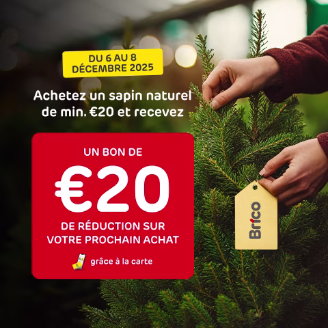 Christmas tree action. fr-BE. Kerst actie | Action Noël