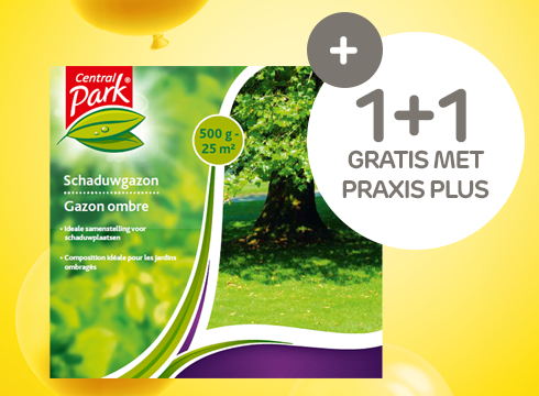 Central Park gazonzaden | Praxis Plus 5 jaar