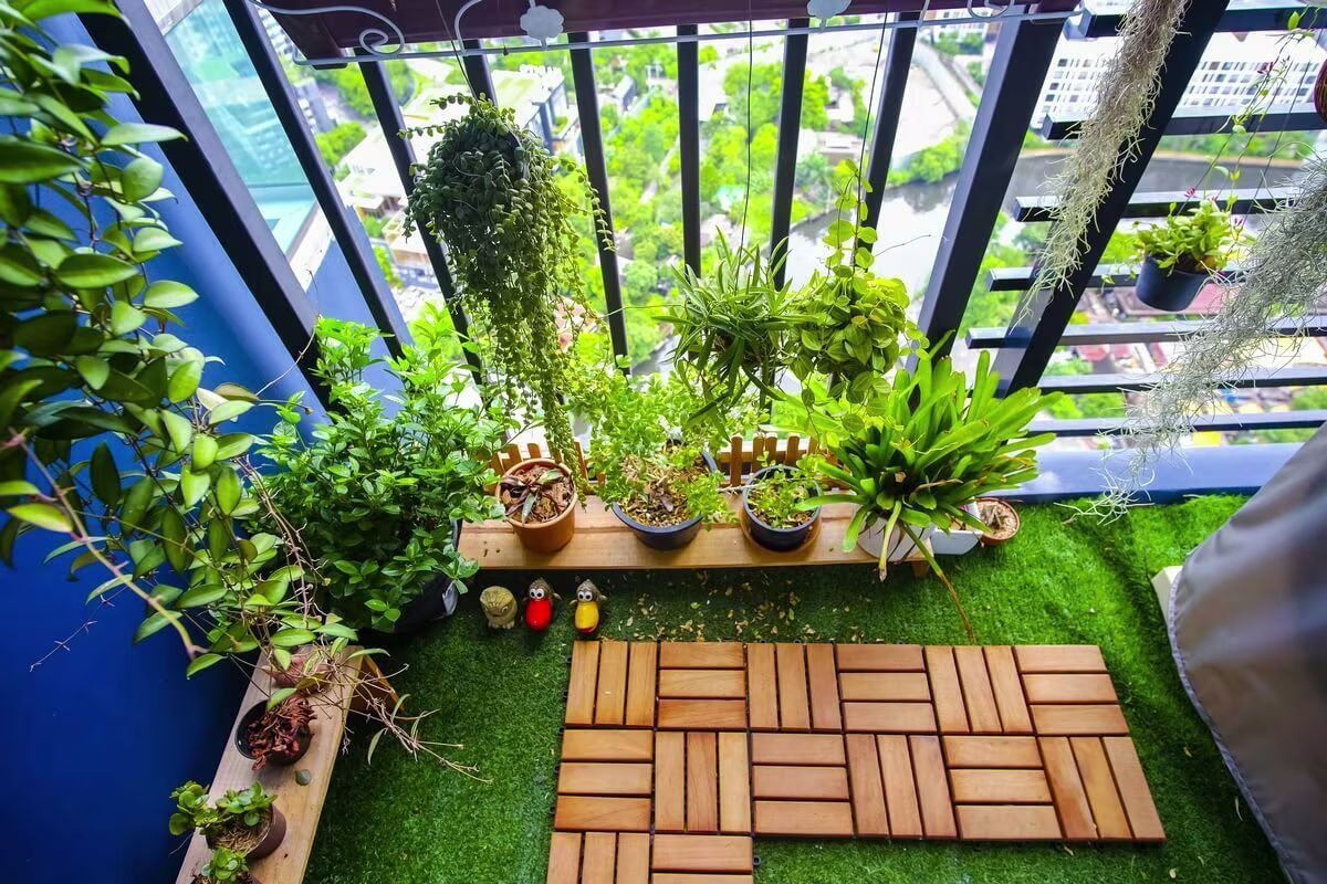 Verschillende planten op een balkon | Plusieurs plantes sur un balcon