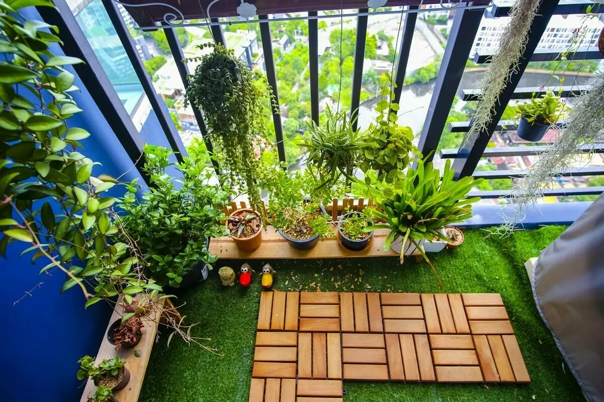 Verschillende planten op een balkon | Plusieurs plantes sur un balcon