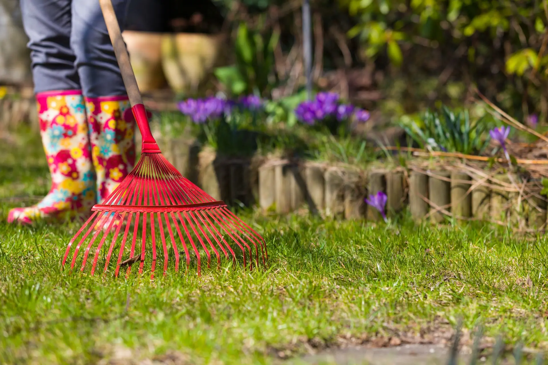 6 tips voor een frisse en vrolijke voorjaarstuin